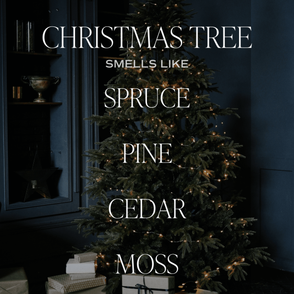 Christmas Tree Soy Candle - Black Stoneware Jar - 12 oz For Discount - Image 2