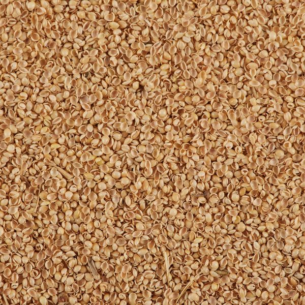 1 lb. Millet Hulls Yellow Online now - Image 2